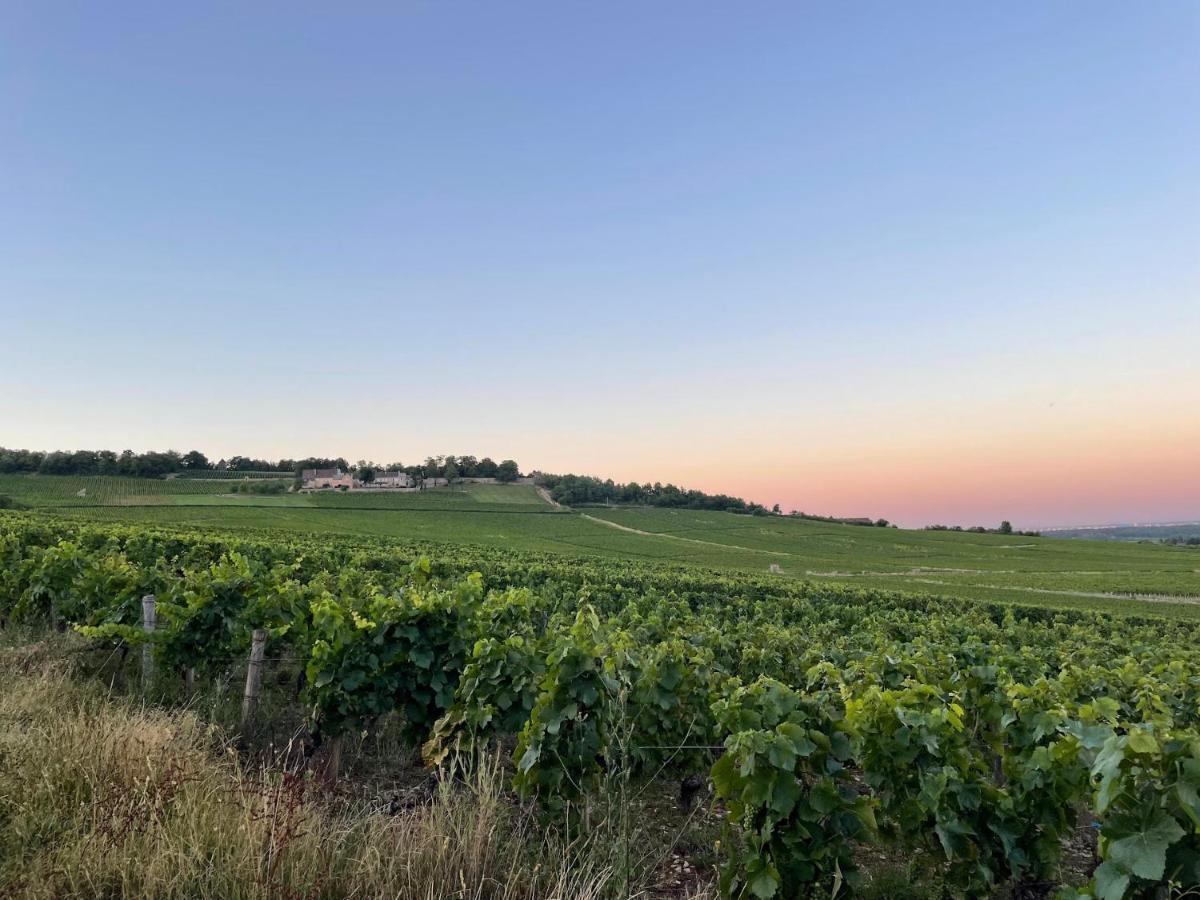 Le Clos De Miribel Givry  Eksteriør billede
